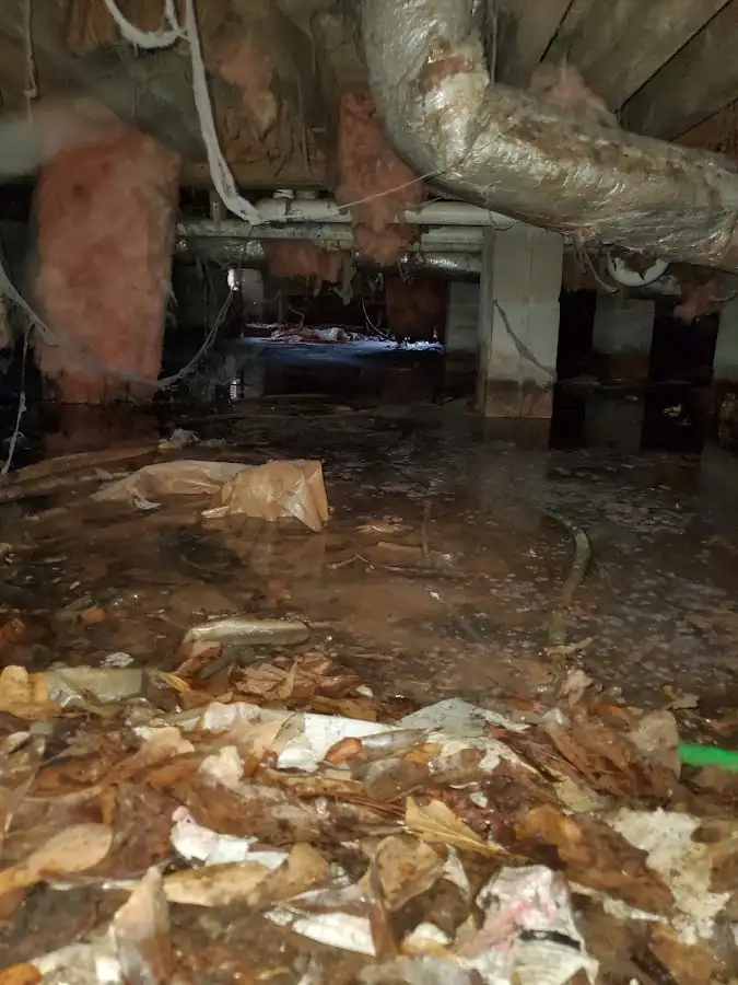 Crawl space flood assessment for Commercial Water Damage Restoration in Sun Valley