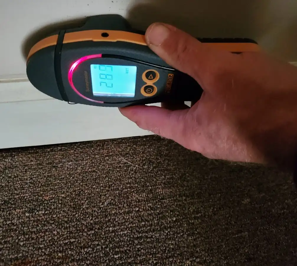 Moisture detection at baseboard during Mold Inspection & Testing in Sun Valley